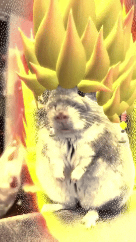 Dragonball Sue GIF