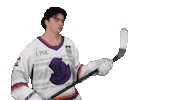 Hockey Kiss Sticker by Youngstown Phantoms