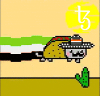 stakefish tezos xtz proof of stake stakefish GIF