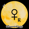 bmervellous venus retrograde bmervellous venusretrograde GIF