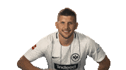 Eintracht Frankfurt Reaction Sticker by Bundesliga