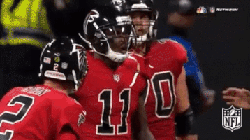 atlanta falcons football GIF by NFL