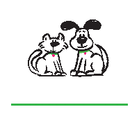 aMANdasBestFriend raleigh dogwalking amandasbestfriend amandasbf Sticker