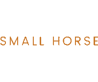 Shetlandpony Small Horse Sticker by lightandsupplehorses