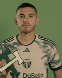 Portland Timbers Sport GIF by Timbers
