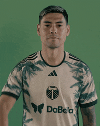 Portland Timbers Soccer GIF by Timbers