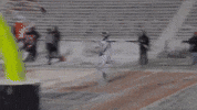 Northwestern Football GIF by Northwestern Athletics