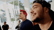 felipe neto GIF by Irmãos Neto