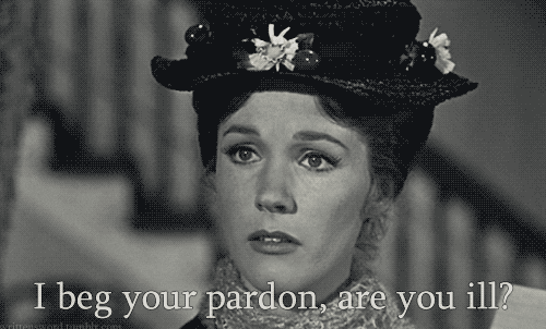 someone mary GIF