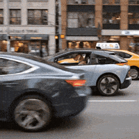 Dog Sup GIF by Verne Robotaxi
