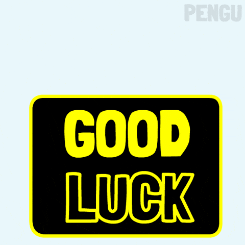 Penguin Success GIF by Pudgy Penguins