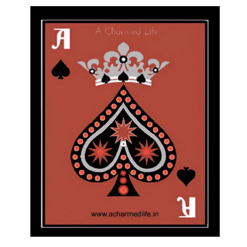 ACharmedLife fashion indian fashion brand aarti Sticker