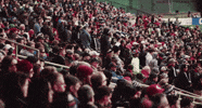 soccer mls GIF by D.C. United