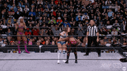 Red Velvet Wrestling GIF by AEWonTV