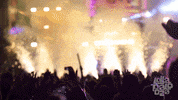 happy celebration GIF by Lollapalooza