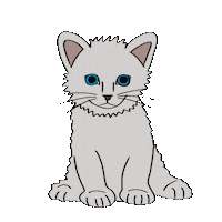 Cat Kitten Sticker by VetZoo