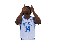 Blue Devils Dukembb Sticker by Duke Men's Basketball