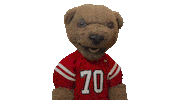 cornell university touchdown Sticker