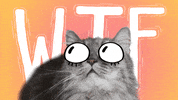 What The Wtf GIF by Holler Studios
