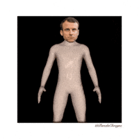 President Macron GIF