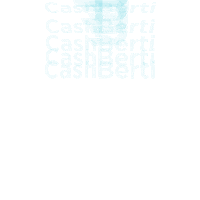 Money App Sticker by Cash Berti