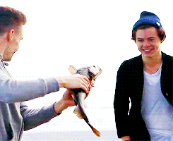 GIF by One Direction