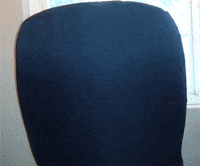 dog waiting GIF