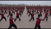 kids kung GIF