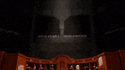 GIF by MWM Interactive