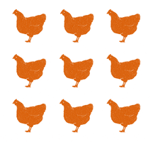 SoilAssociation organic chickens hens free range GIF