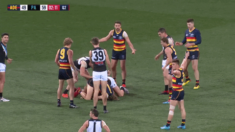 round 20 afl GIF by Adelaide Crows