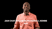 Haitian Flag Haiti GIF by Bernardson