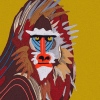 Monkey Blinking GIF by alimacdoodle