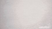 Sport Driving GIF by Curated Stance!