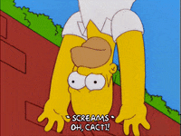screaming homer simpson GIF