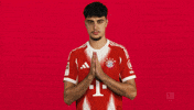 Fc Bayern Pavlovic GIF by Bundesliga