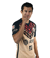 Soccer Goal Sticker by Club America