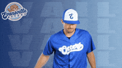 Baseball League GIF by Evansville Otters