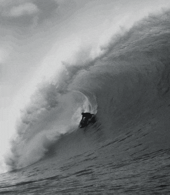 North Shore Surf GIF by FLORENCE