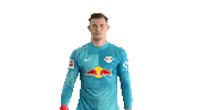 The Wall No Sticker by RB Leipzig