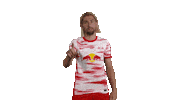 Football No Sticker by RB Leipzig