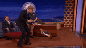 birds conan obrien GIF by Team Coco