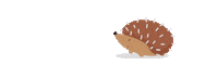 Hedgehog Hfc Sticker by HogFriendly