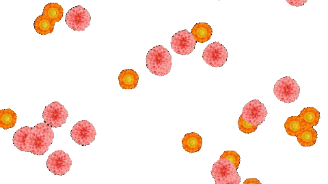 pramodmittal44gmailcom giphyupload transparent background animated gif Sticker