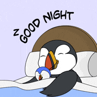 puffinsdotfun kawaii night sleep bird GIF