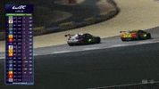 Corvette Racing Fight GIF