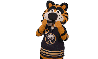 Ice Hockey Sticker by NHL
