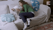 Cat Help GIF by Great Big Story