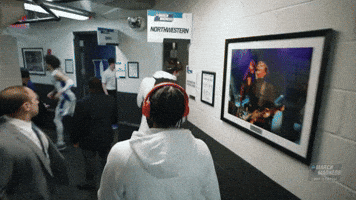March Madness Cats GIF by Northwestern Athletics
