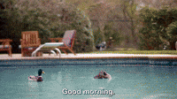 Good Morning